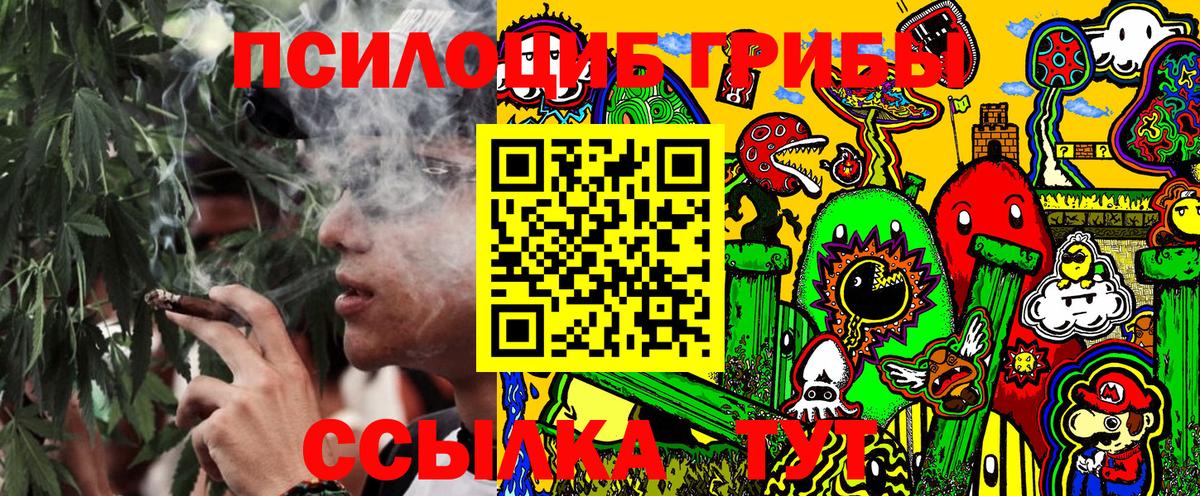 Галлюциногенные грибы мицелий Пушкино