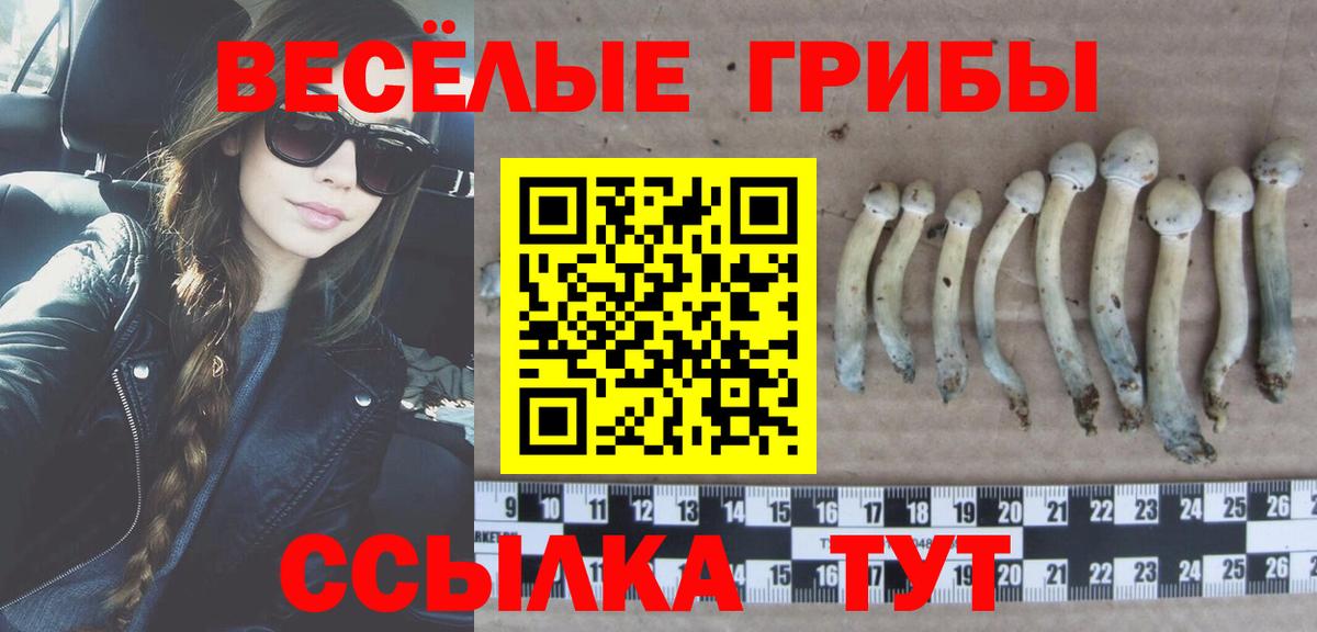 Галлюциногенные грибы ЛСД  Галлюциногенные грибы Psilocybe  Вход с VPN  Пушкино 